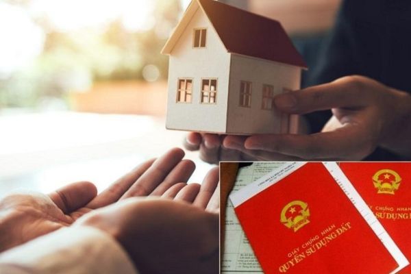 sổ đỏ đất lâm nghiệp