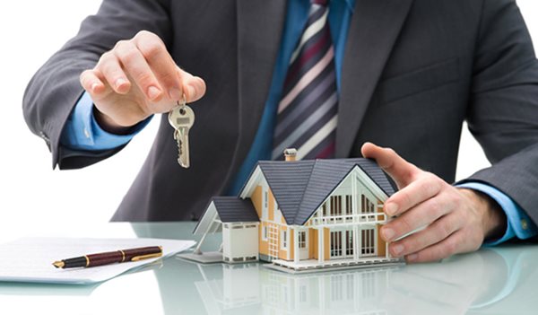 góp vốn bằng đất nông nghiệp