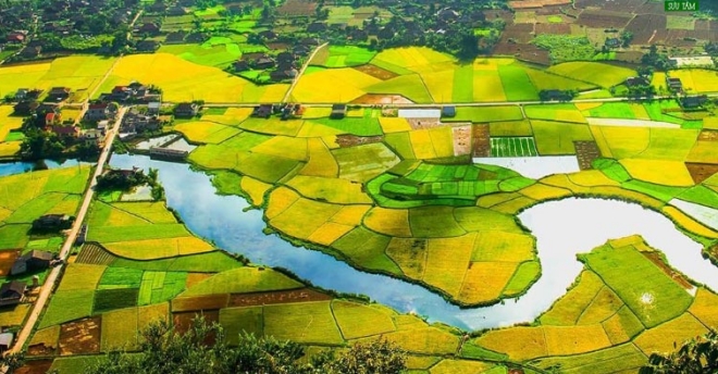 luật sư tranh chấp đất liền kề