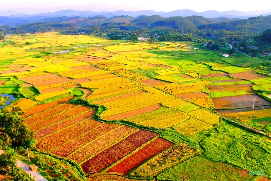 chứng minh quyền sử dụng đất tranh chấp