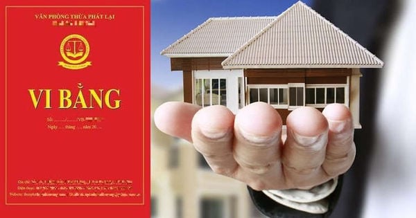 vi bằng chứng cứ