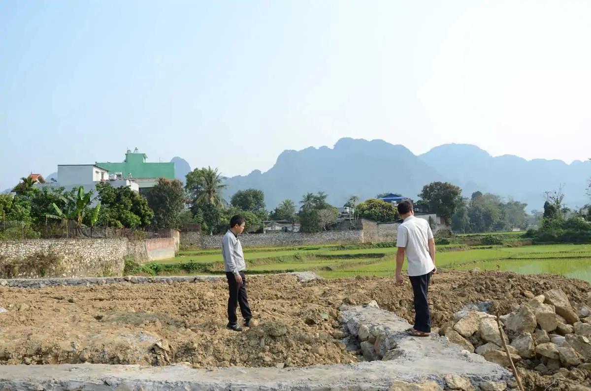 tố cáo cán bộ bao che lấn chiếm đất