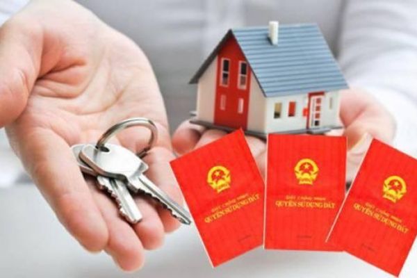 Dịch vụ sổ đỏ 