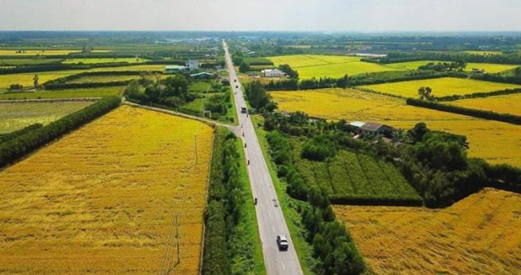Đất ruộng