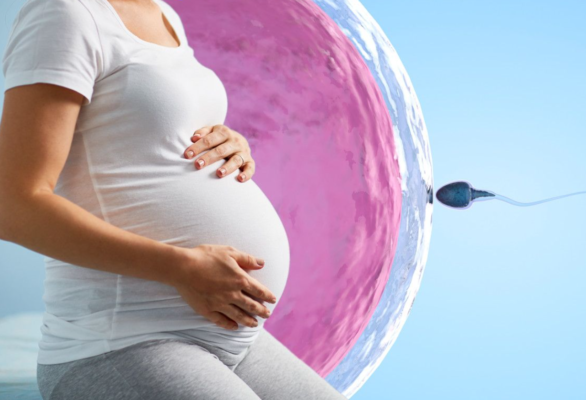 Làm IVF