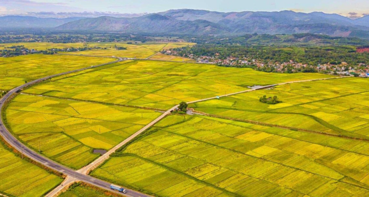 Đất 03